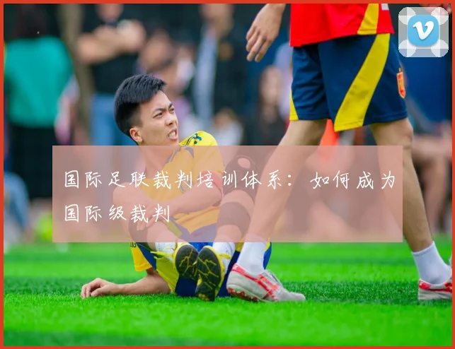 国际足联裁判培训体系:如何成为国际级裁判