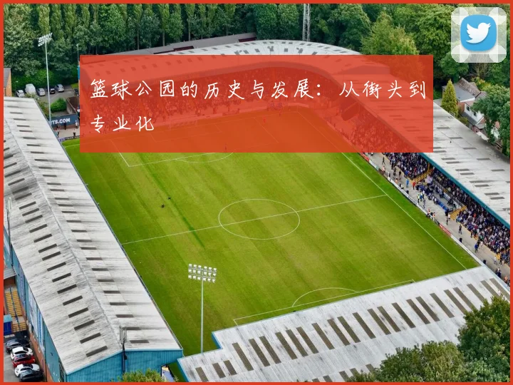篮球公园的历史与发展:从街头到专业化